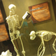 Illustration for article titled How Creationists Interpret Genetics (Hint: Theyre Very, Very Wrong)